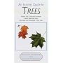 Instant Guide to Trees