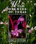 Wild Orchids of Texas (Corrie Herring Hooks Series)