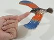 Balance Bird