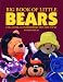 Book Big Book of Little Bears: Identification & Price Guide