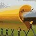 Jaypro Fg810Yw Fence Guard Cap - Yellow - Case Of 10