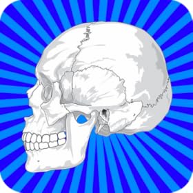 Human Body Facts