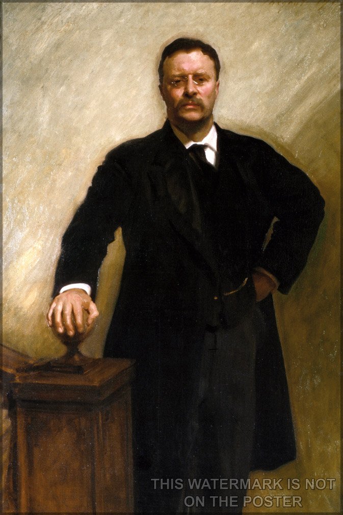 Amazon.com: President Theodore Roosevelt, Official White House ...