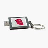 Wisconsin Badgers DataStick Keychain 2 GB USB 2.0 Flash Drive DSK2GB-WIS (Grey)