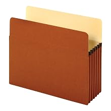 Globe-Weis File Pockets, 5.25-Inch Expansion, Letter Size, Brown, 10 Pockets per Pack (63234GW)