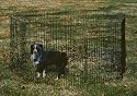 General Cage 36-8DLX 36 Inch Deluxe Pet Exercise Pen