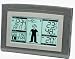 Funk-Wetterstation - WS-9611IT