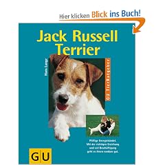 Jack Russell Terrier richtig pflegen und verstehen