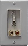  : DVI & Stereo Audio Wall Plate with Captive Screws