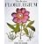 Besler Florilegium