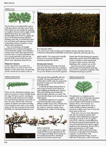 American Horticultural Society Pruning & Training (American Horticultural Society Practical Guides)