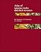 Book Atlas of Igneous Rocks and Their Textures
