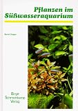 Pflanzen im S�sswasser-Aquarium