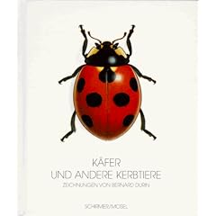 K�fer und andere Kerbtiere