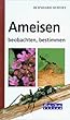 Ameisen beobachten, bestimmen
