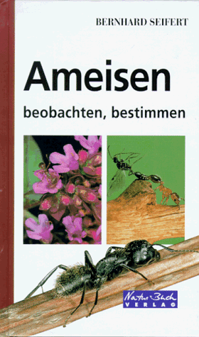 bestimmen