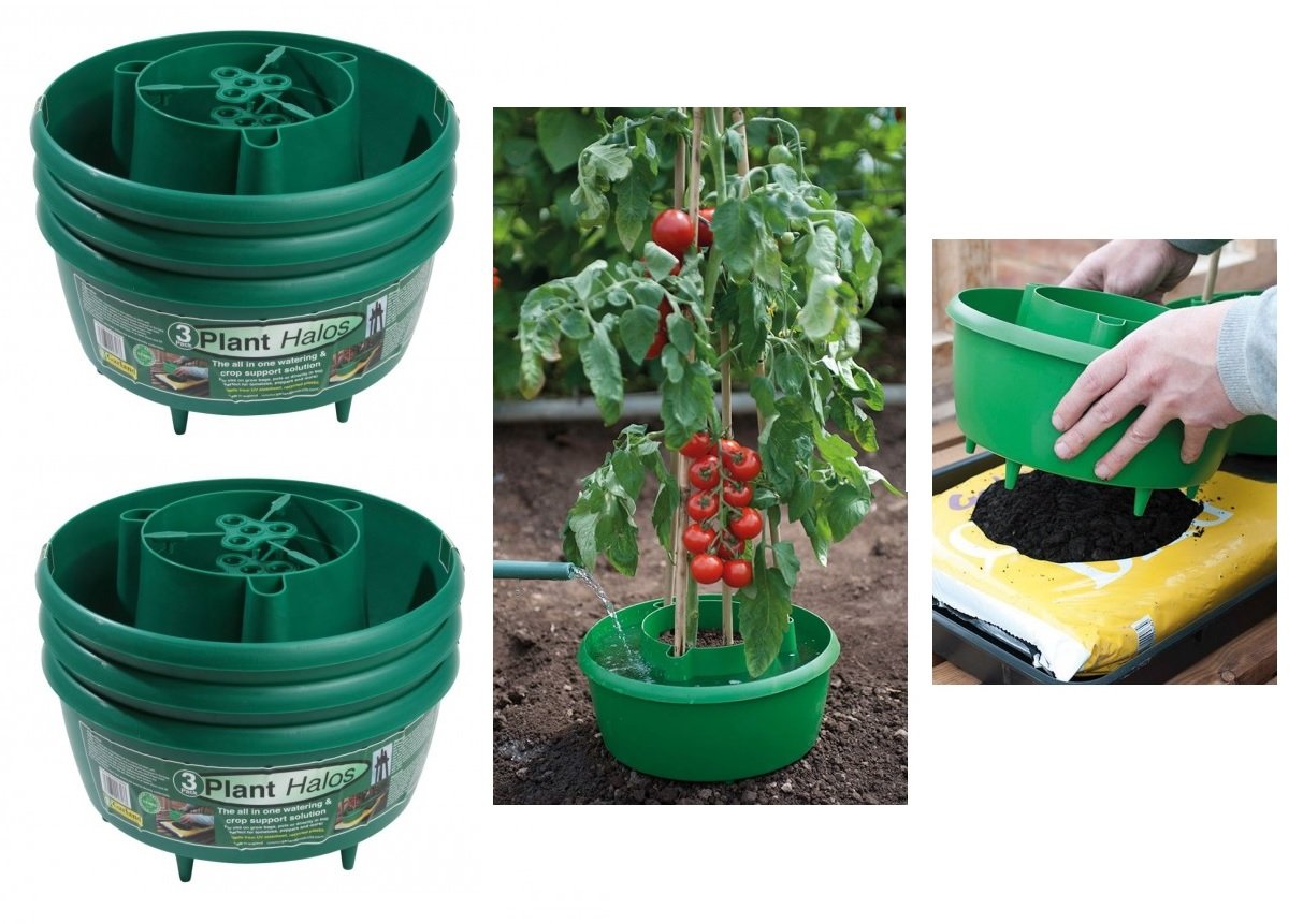 GARDEN TOMATOES TOMATO BEAN PLANT HALO HALOS GROW BAG WATERING POT