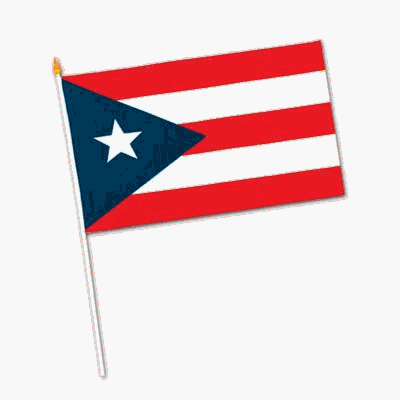 Beistle - 50994 - Puerto Rican Flag - Rayon- Pack of 12