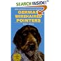 German Wirehaired Pointer