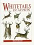 Whitetails in Action