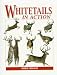Whitetails in Action