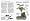 Bonsai (Pocket Encyclopaedia)