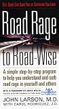 Road Rage to Road-Wise: This Book Can Save You or Someone You Love