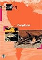 All Corydoras (AQUALOG-Reference Books)