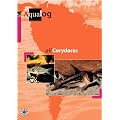 Aqualog. Reference fish of the world: Aqualog, Bd.4, All Corydoras