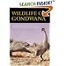 Wildlife of Gondwana: Dinosaurs and Other Vertebrates from the Ancient Supercontinent (Life of the Past)