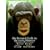 Pictorial Guide to the Living Primates