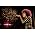 Thumbnail image of Esperanza Spalding