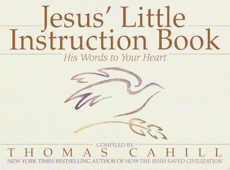 Jesus Little Instruction Book