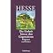 Hesse, Hermann