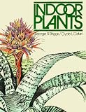 Indoor Plants