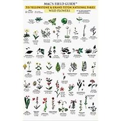 Mac's Field Guide to Yellowstone & Grand Teton National Parks: Trees & Wildflowers