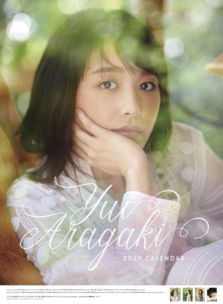 トライエックス 新垣結衣 2019年 カレンダー CL-764 壁掛け B2