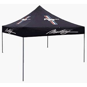 Ford Canopy
