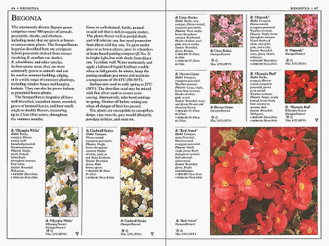 Annuals and Biennials (Royal Horticultural Society Plant Guides)
