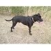 Handy Dog Accessories & more