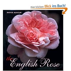 The English Rose