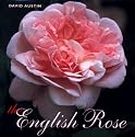 The English Rose