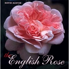 English Rose