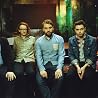 Image of Frightened Rabbit