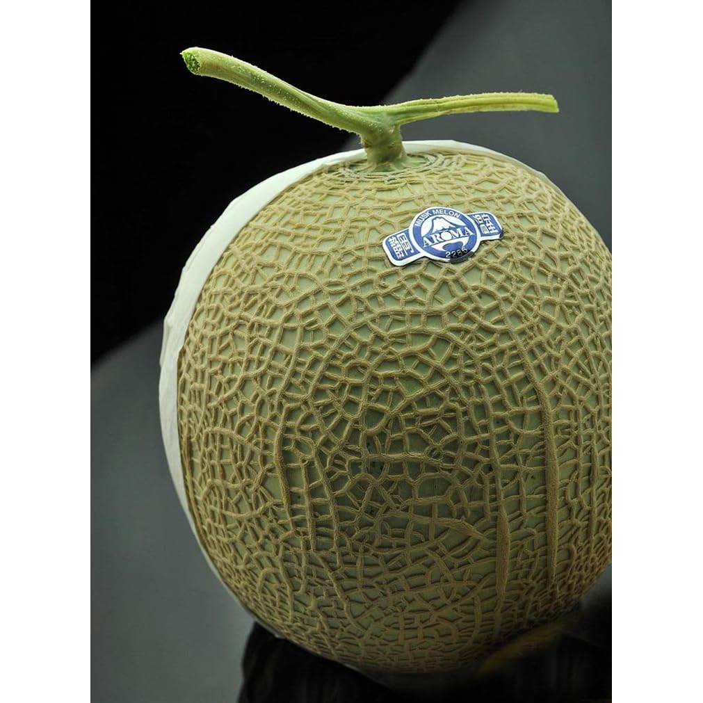 果物 ギフト 静冈県产 高级 メロン 日本が夸る