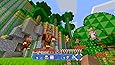 Minecraft Wii U inkl. Super Mario Mash-Up