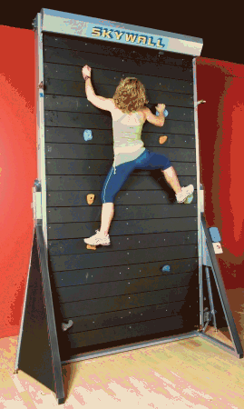 Avanti Fitness SKYWALL-LG Skywall Large