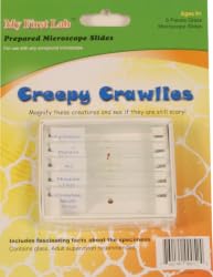 Creepy Crawlies Microscope Slides