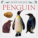 Penguin (See How They Grow)