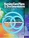 Nursing Care Plans And Documentation Nursing Diagnosis And Collaborative Problems